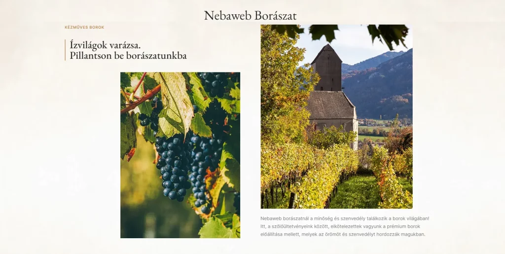 Webshop für Weinkellereien